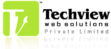 Techview Web Solutions