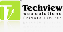 Techview Web Solutions